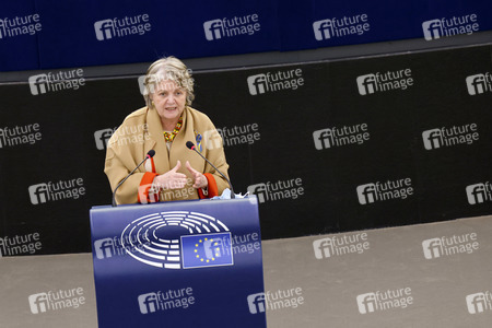 Plenartagung im EU-Parlament in Straßburg