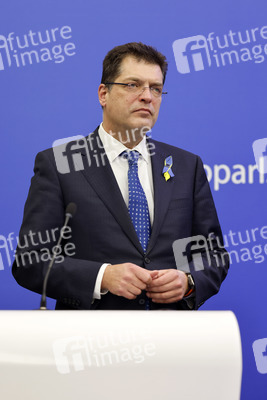 Pressekonferenz im EU-Parlament in Straßburg