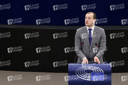 Plenartagung im EU-Parlament in Straßburg