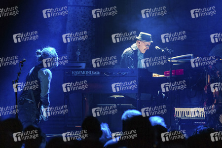 Konzert von Niedeckens BAP in Hannover