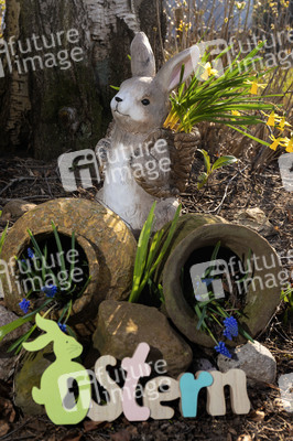 Symbolfoto Osterhase