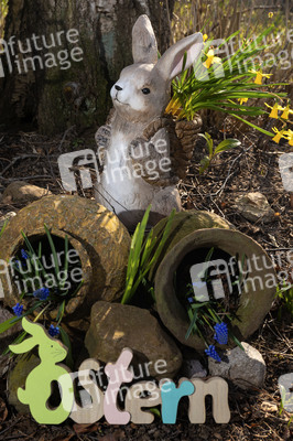 Symbolfoto Osterhase