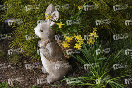 Symbolfoto Osterhase
