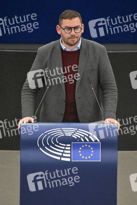 Plenartagung zum EU-Emmissionshandel im EU-Parlament in Straßburg