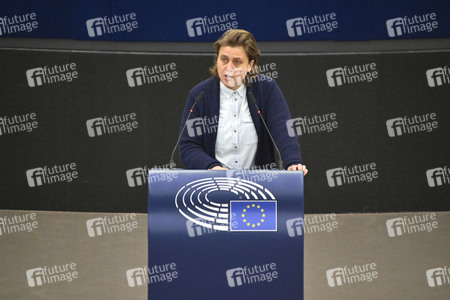 Plenartagung zum EU-Emmissionshandel im EU-Parlament in Straßburg