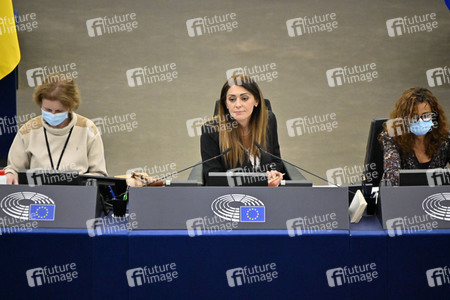 Plenartagung zum EU-Emmissionshandel im EU-Parlament in Straßburg