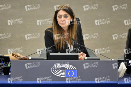 Plenartagung zum EU-Emmissionshandel im EU-Parlament in Straßburg