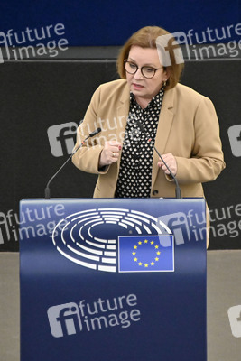 Plenartagung zum EU-Emmissionshandel im EU-Parlament in Straßburg