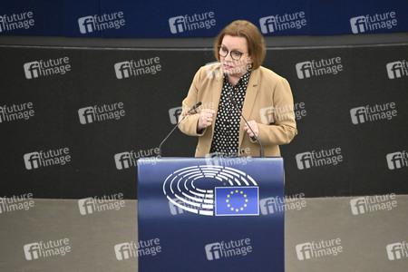 Plenartagung zum EU-Emmissionshandel im EU-Parlament in Straßburg