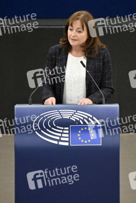 Plenartagung zum EU-Emmissionshandel im EU-Parlament in Straßburg