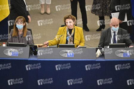 Plenartagung zum EU-Emmissionshandel im EU-Parlament in Straßburg