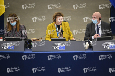 Plenartagung zum Bericht des Weltklimarats im EU-Parlament in Straßburg