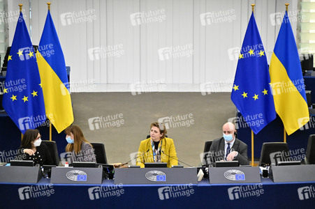 Plenartagung zum Bericht des Weltklimarats im EU-Parlament in Straßburg