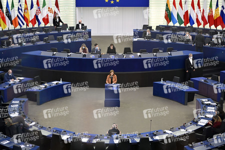 Plenartagung zu Gemeinsamkeiten des Putin-Regimes und rechtsextremer Bewegungen in Europa im EU-Parlament in Straßburg