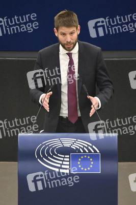 Plenartagung zu Gemeinsamkeiten des Putin-Regimes und rechtsextremer Bewegungen in Europa im EU-Parlament in Straßburg