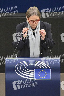 Plenartagung zu Gemeinsamkeiten des Putin-Regimes und rechtsextremer Bewegungen in Europa im EU-Parlament in Straßburg