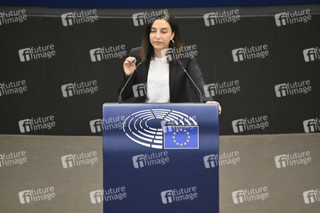 Plenartagung zu Gemeinsamkeiten des Putin-Regimes und rechtsextremer Bewegungen in Europa im EU-Parlament in Straßburg