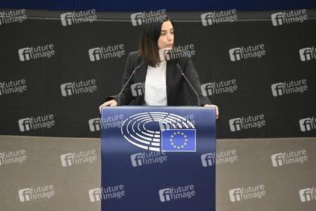 Plenartagung zu Gemeinsamkeiten des Putin-Regimes und rechtsextremer Bewegungen in Europa im EU-Parlament in Straßburg