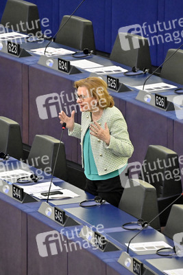 Debatte über Roma-Gemeinschaften im EU-Parlament in Straßburg