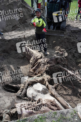 Fototermin Sondierungsgrabungen vom 'Weißen Stier vom Humboldthain' in Berlin