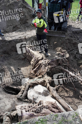 Fototermin Sondierungsgrabungen vom 'Weißen Stier vom Humboldthain' in Berlin