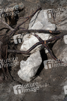 Fototermin Sondierungsgrabungen vom 'Weißen Stier vom Humboldthain' in Berlin