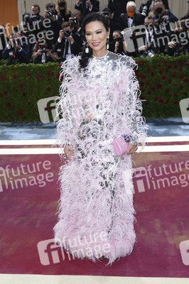 Met Gala 2022 in New York