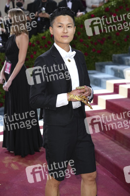 Met Gala 2022 in New York