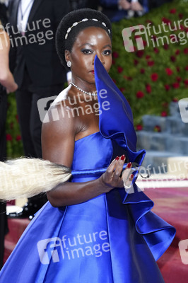 Met Gala 2022 in New York