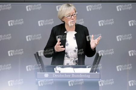 35. Sitzung des Deutschen Bundestages in Berlin