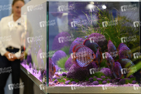 Heimtiermesse Interzoo in Nürnberg