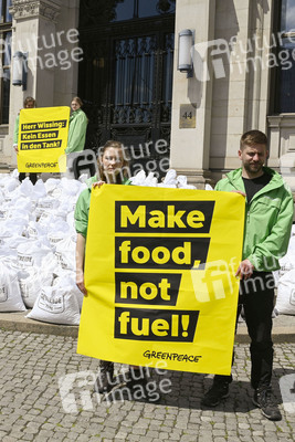 Greenpeace Protestaktion in Berlin