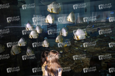 Pressefrühstück im AquaDom & Sea Life Berlin