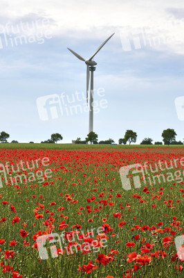 Symbolfoto Windrad