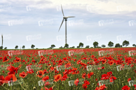 Symbolfoto Windrad
