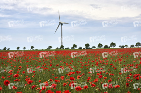 Symbolfoto Windrad