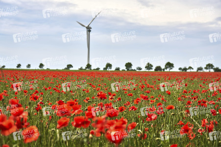 Symbolfoto Windrad