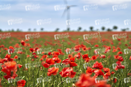 Symbolfoto Windrad