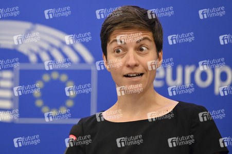 Pressebriefing der Fraktion Die Grünen/Europäische Freie Allianz im EU-Parlament in Straßburg