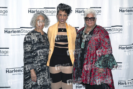 Harlem Stage Gala 2022 in New York