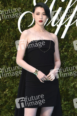 Tiffany & Co. Ausstellung 'Vision & Virtuosity' in London