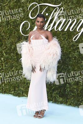 Tiffany & Co. Ausstellung 'Vision & Virtuosity' in London