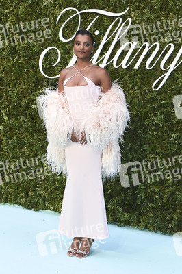 Tiffany & Co. Ausstellung 'Vision & Virtuosity' in London