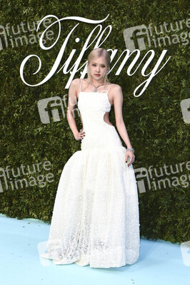 Tiffany & Co. Ausstellung 'Vision & Virtuosity' in London