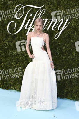 Tiffany & Co. Ausstellung 'Vision & Virtuosity' in London