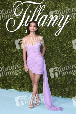 Tiffany & Co. Ausstellung 'Vision & Virtuosity' in London