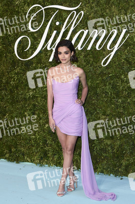 Tiffany & Co. Ausstellung 'Vision & Virtuosity' in London