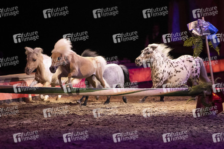 Pferdeshow 'Cavalluna - Die Legende der Wüste' in Erfurt