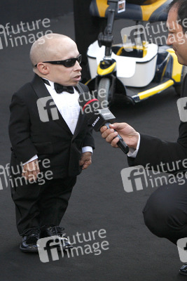 amfAR's Cinema Against Aids Gala, Cannes Film Festival 2009