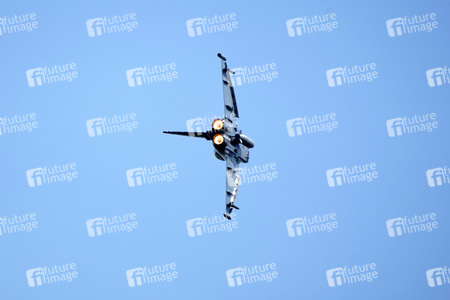 ILA-Eröffnung mit Bundeskanzler Scholz und anschließendem Rundgang in Berlin